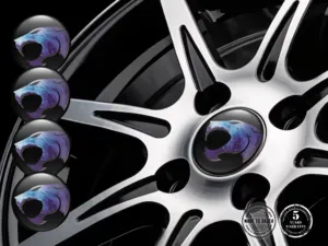 Hub Cap Sticker Style Premium Stellar Momentum Core